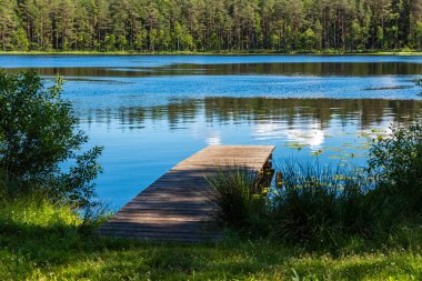 yeşil yaprakları ve gölgeleri ile güneşli yaz gününde doğal orman gölü. bulutların yansımaları ile sakin su