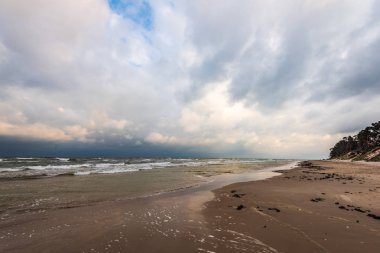 kum üzerinde ağaçlardan dramatik bulutlar ve gölgeler ile fırtına öncesi boş deniz plajı. yüksek rüzgar