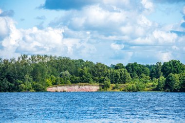yeşil yaprakları ve gölgeleri ile güneşli yaz gününde doğal orman gölü. bulutların yansımaları ile sakin su