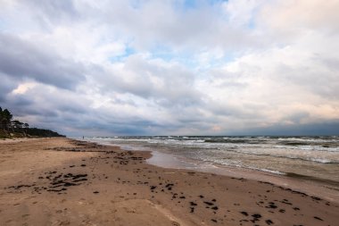 kum üzerinde ağaçlardan dramatik bulutlar ve gölgeler ile fırtına öncesi boş deniz plajı. yüksek rüzgar