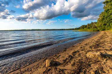 yeşil yaprakları ve gölgeleri ile güneşli yaz gününde doğal orman gölü. bulutların yansımaları ile sakin su
