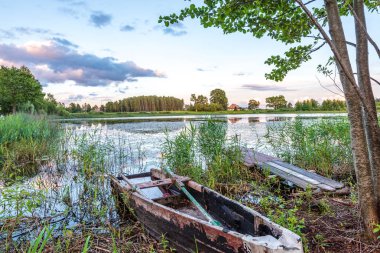 yeşil yaprakları ve gölgeleri ile güneşli yaz gününde doğal orman gölü. bulutların yansımaları ile sakin su