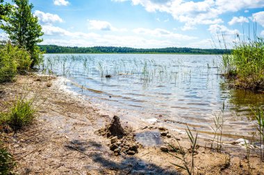 yeşil yaprakları ve gölgeleri ile güneşli yaz gününde doğal orman gölü. bulutların yansımaları ile sakin su