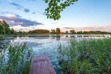 yeşil yaprakları ve gölgeleri ile güneşli yaz gününde doğal orman gölü. bulutların yansımaları ile sakin su