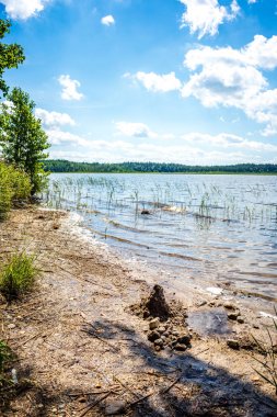 yeşil yaprakları ve gölgeleri ile güneşli yaz gününde doğal orman gölü. bulutların yansımaları ile sakin su