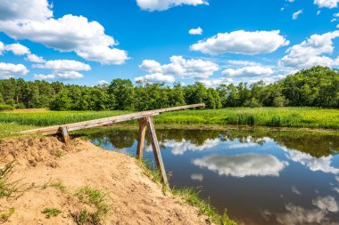 yeşil yaprakları ve gölgeleri ile güneşli yaz gününde doğal orman gölü. bulutların yansımaları ile sakin su