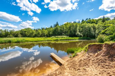 yeşil yaprakları ve gölgeleri ile güneşli yaz gününde doğal orman gölü. bulutların yansımaları ile sakin su