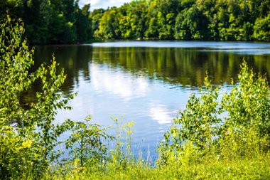 yeşil yaprakları ve gölgeleri ile güneşli yaz gününde doğal orman gölü. bulutların yansımaları ile sakin su