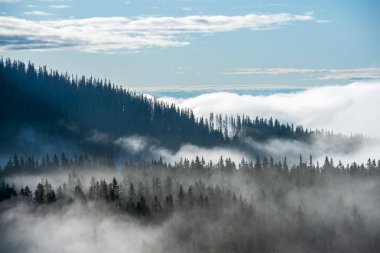 Slovakya Tatra dağlarında orman vadilerinden yükselen sis. yukarıdan görülen güneşli bir gün, bulutların üzerinde yürüme