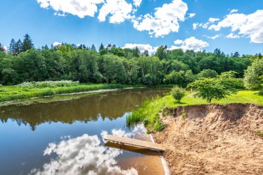 yeşil yaprakları ve gölgeleri ile güneşli yaz gününde doğal orman gölü. bulutların yansımaları ile sakin su
