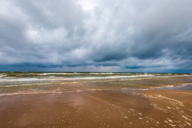 kum üzerinde ağaçlardan dramatik bulutlar ve gölgeler ile fırtına öncesi boş deniz plajı. yüksek rüzgar