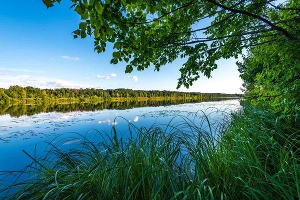 여름날의 아름다운 호수와 단풍과 그림자 구름의 반사와 잔잔한 — 스톡 사진