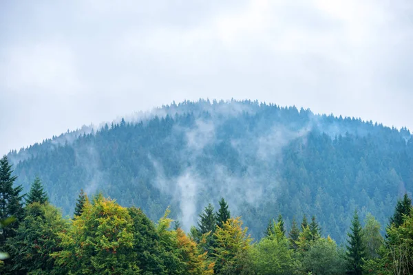 Mlha Zvedá Údolí Lese Slovensku Horách Tatra Slunečného Dne Shora — Stock fotografie