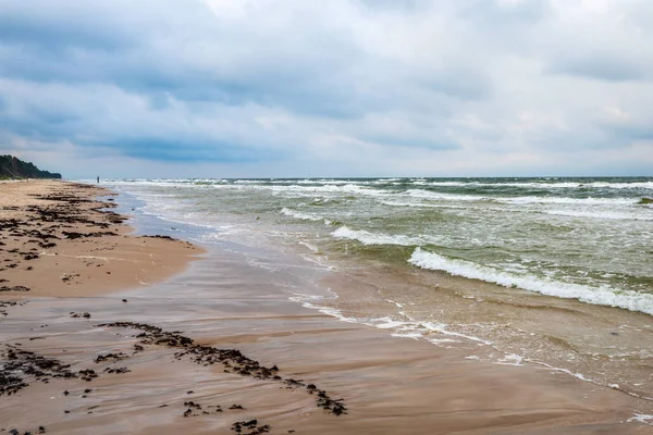 Порожній Морський Пляж Перед Грозою Драматичними Хмарами Тінями Дерев Піску — стокове фото