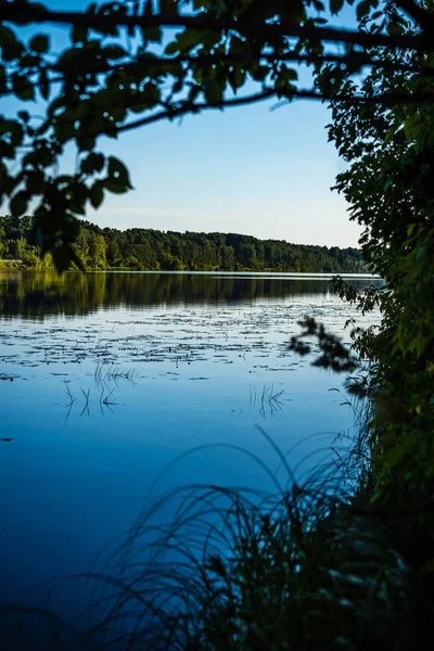 緑の葉と影と晴れた夏の日の風光明媚な森の湖 雲の反射で穏やかな水 — ストック写真
