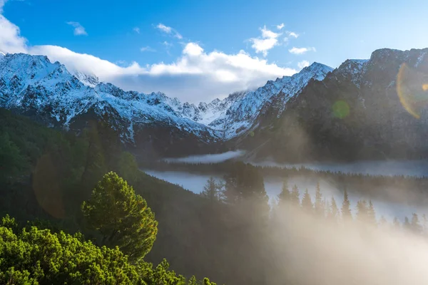 Slovakya Tatra Dağlarında Orman Vadilerinden Yükselen Sis Yukarıdan Görülen Güneşli — Stok fotoğraf