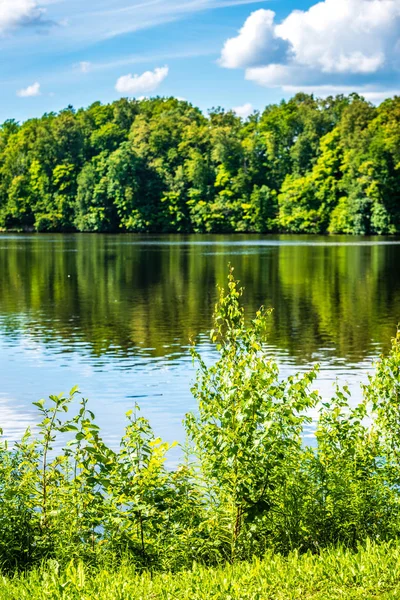 Scenic Forest Lake Sunny Summer Day Green Foliage Shadows Calm — Stock Photo, Image