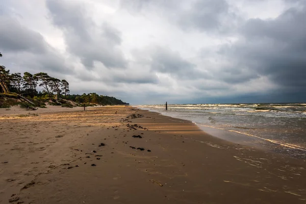 暴风雨前的空旷的海滩 沙滩上树木的乌云和阴影 — 图库照片