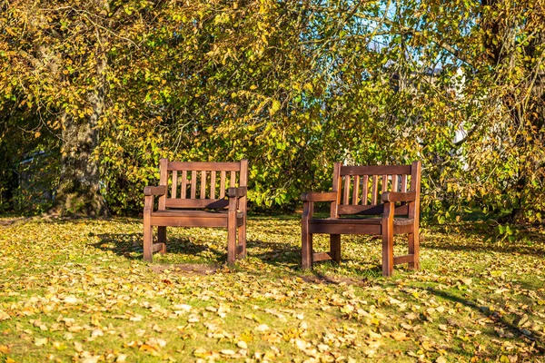 晴れた日の秋に木々と太陽の光と秋の黄金色の公園 — ストック写真