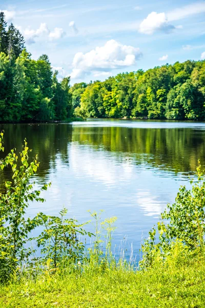 Lago Floresta Cênica Dia Ensolarado Verão Com Folhagem Verde Sombras — Fotografia de Stock