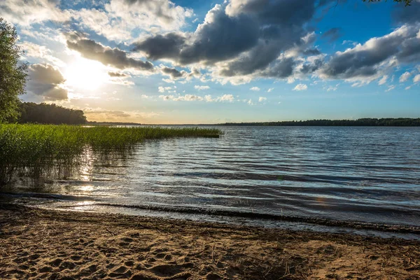 Lac Forestier Pittoresque Dans Journée Ensoleillée Été Avec Feuillage Vert — Photo