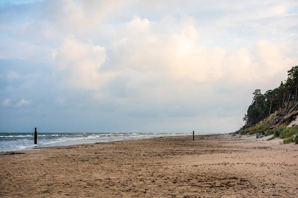 empty sea beach before storm with dramatic clouds and shadows from trees on the sand. high wind