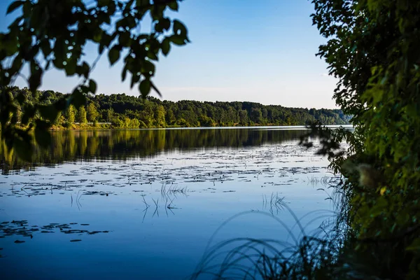 Мальовниче Лісове Озеро Сонячний Літній День Зеленим Листям Тінями Спокійна — стокове фото