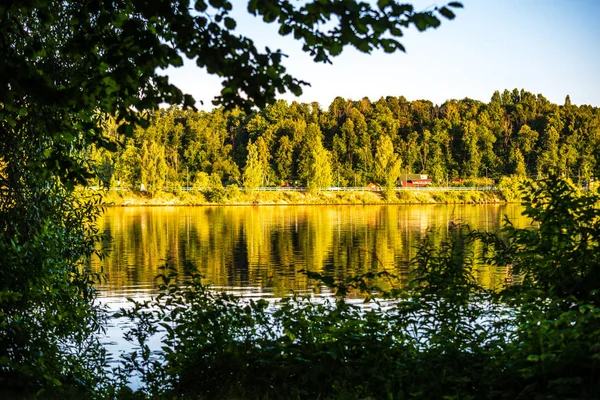 Naturskön Skogssjö Solig Sommardag Med Gröna Blad Och Skuggor Lugnt — Stockfoto