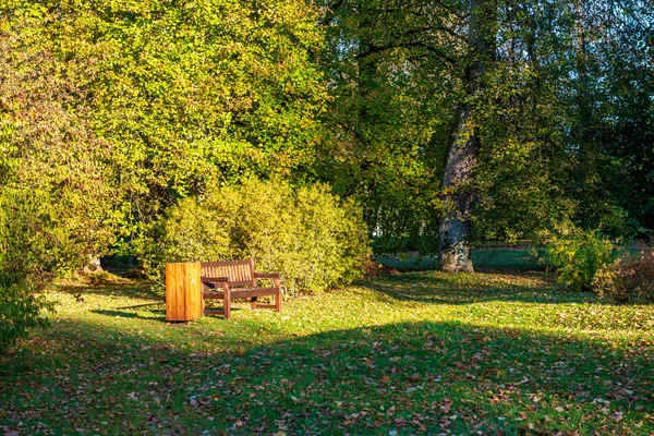Herbst Goldfarbener Park Mit Bäumen Und Sonnenstrahlen Herbst Sonnigen Tagen — Stockfoto