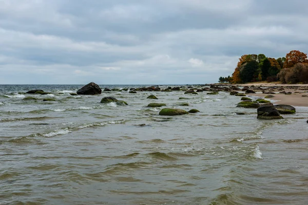 Θυελλώδη Θάλασσα Παραλία Μεγάλους Βράχους Στην Υγρή Άμμο Βαλτική Θάλασσα — Φωτογραφία Αρχείου