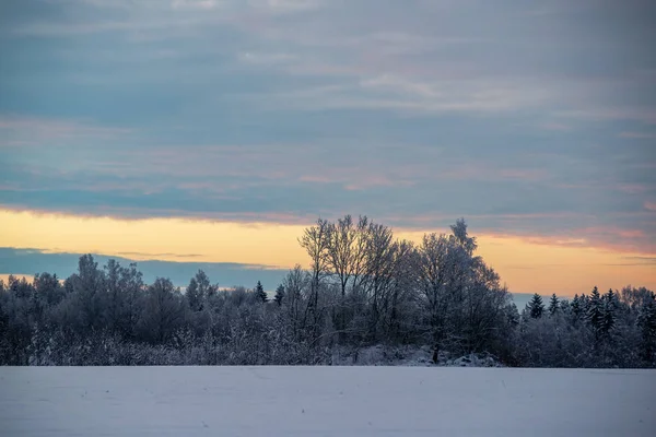 시골에서 겨울에 필드를 다채로운 — 스톡 사진