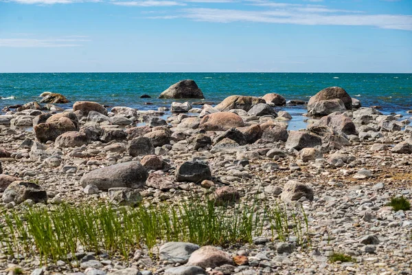 Skalnatá Pláž Ostrově Hiiumaa Estonsko Létě — Stock fotografie