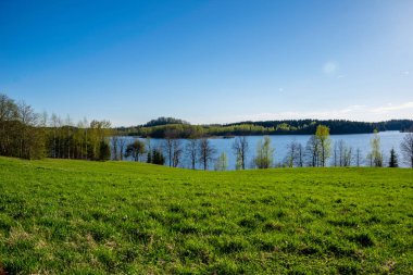 mavi gökyüzü altında ıslak yaz aylarında çim desenli taze yeşil çayır alanları
