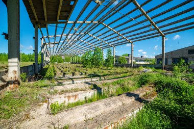yeşil yaz çalılar eski terk edilmiş çiftlik evi iç