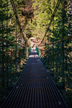 yeşil yaprakları yaz aylarında orman nehri üzerinde ayak köprü