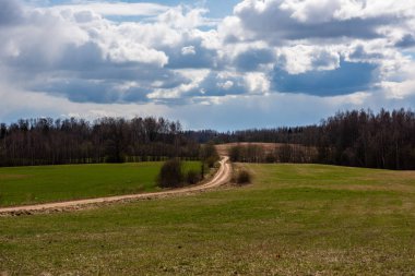 mavi gökyüzü altında ıslak yaz aylarında çim desenli taze yeşil çayır alanları