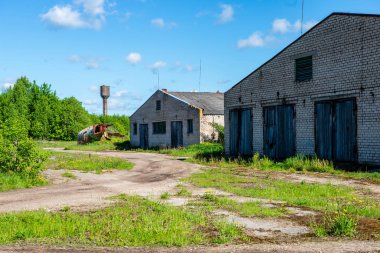 yeşil yaz çalılar eski terk edilmiş çiftlik evi iç