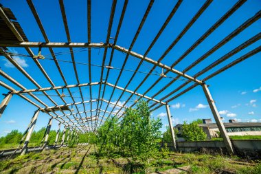 yeşil yaz çalılar eski terk edilmiş çiftlik evi iç