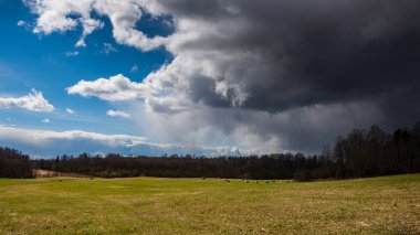 mavi gökyüzü altında ıslak yaz aylarında çim desenli taze yeşil çayır alanları
