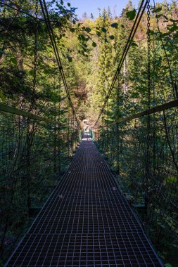 yeşil yaprakları yaz aylarında orman nehri üzerinde ayak köprü