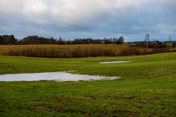 Frische Grüne Wiesenfelder Mit Rasenmuster Feuchten Sommer Unter Blauem Himmel — Stockfoto