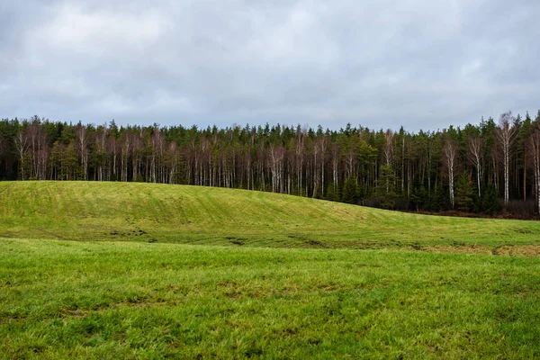 Frische Grüne Wiesenfelder Mit Rasenmuster Feuchten Sommer Unter Blauem Himmel — Stockfoto