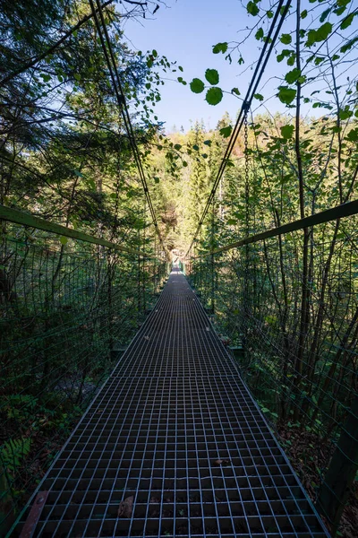 Пешеходный Мост Через Лесную Реку Летом Зеленой Листве — стоковое фото