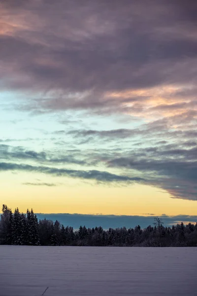 Coucher Soleil Coloré Sur Les Champs Neige Hiver Campagne — Photo