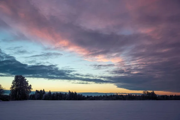 Színes Naplemente Fényében Havas Területeken Téli Vidéken — Stock Fotó