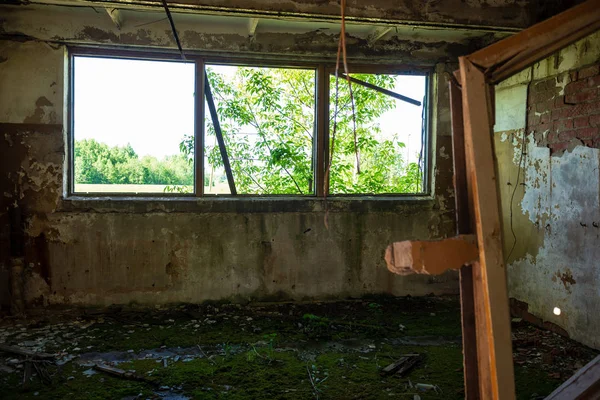 Starý Opuštěný Interiér Statku Zelených Letních Křovinách — Stock fotografie