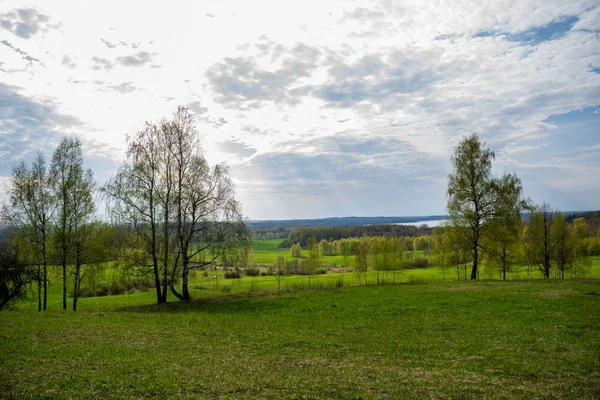 Frische Grüne Wiesenfelder Mit Rasenmuster Feuchten Sommer Unter Blauem Himmel — Stockfoto