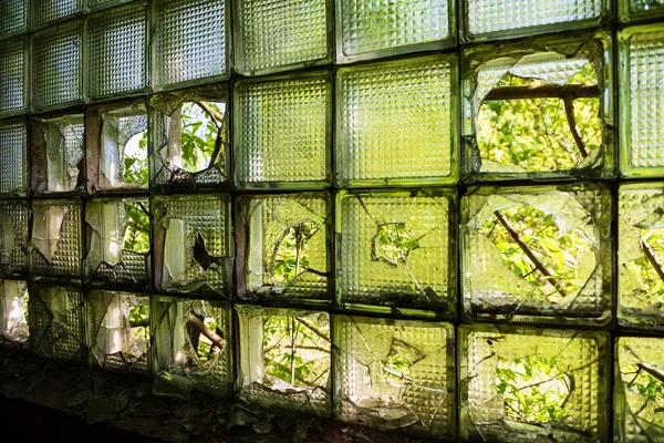 Yeşil Yaz Çalılar Eski Terk Edilmiş Çiftlik Evi — Stok fotoğraf