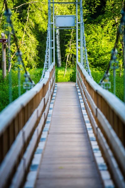 foot bridge over forest river in summer in green foliage