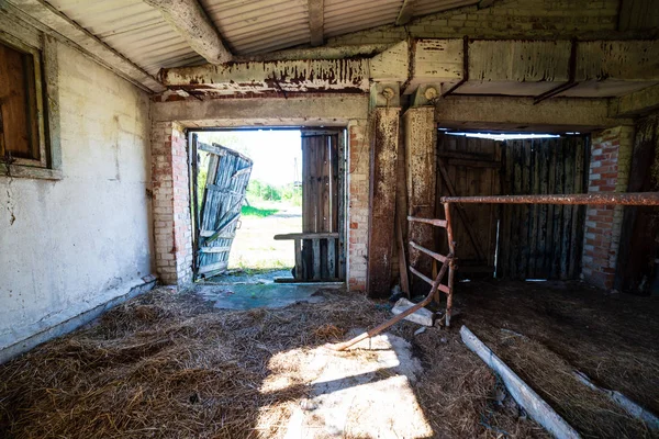 Yeşil Yaz Çalılar Eski Terk Edilmiş Çiftlik Evi — Stok fotoğraf